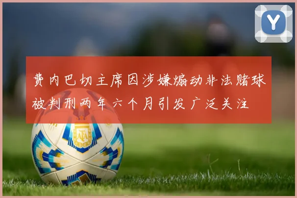 费内巴切主席因涉嫌煽动非法赌球被判刑两年六个月引发广泛关注